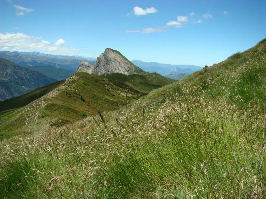 dent d orlu
