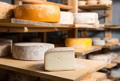 Blog 44 fromages ariege