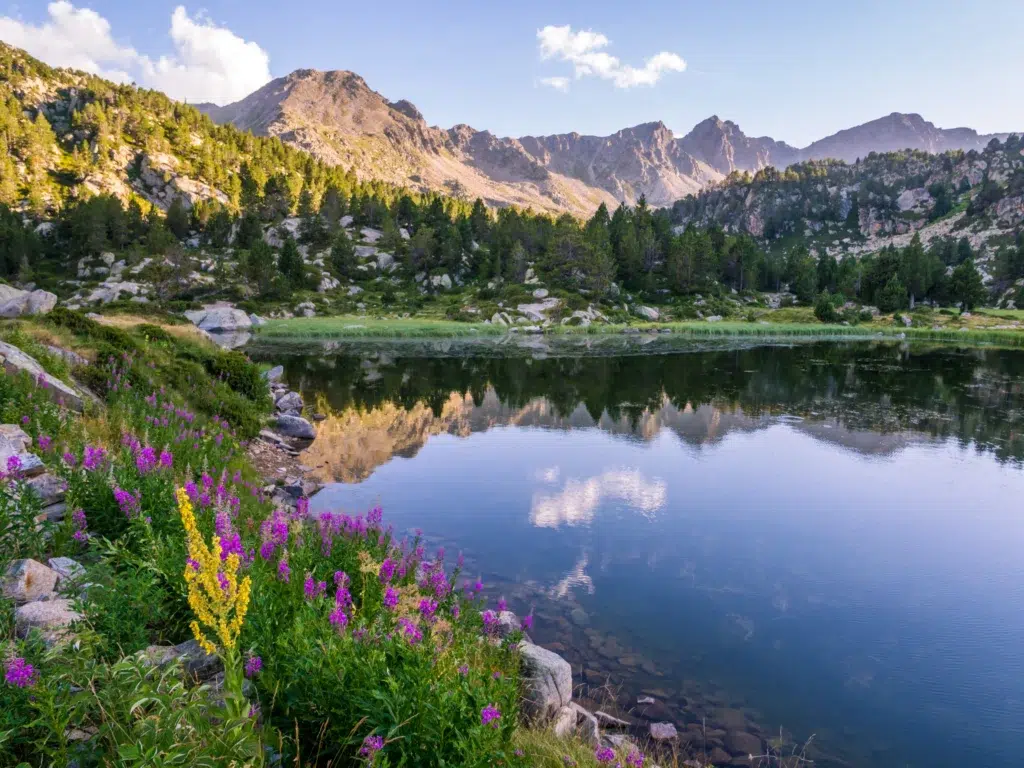 lac estany primer