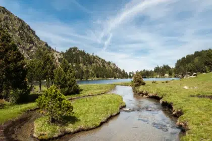 Blog 39 laurenti ariege