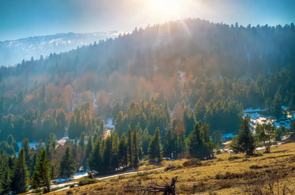 parc naturel regional pyrenees catalane