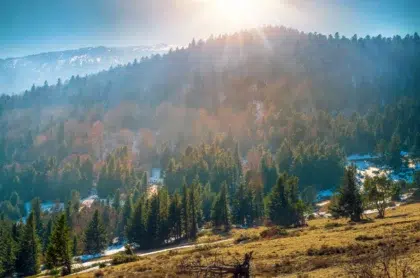 parc naturel regional pyrenees catalane